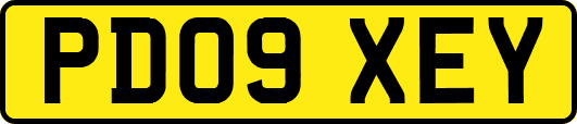 PD09XEY