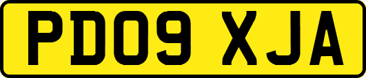PD09XJA
