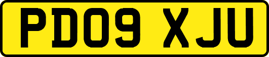 PD09XJU