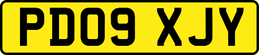 PD09XJY