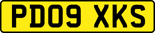 PD09XKS