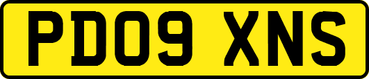 PD09XNS