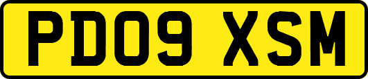 PD09XSM