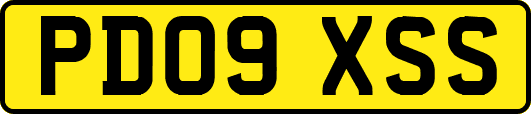 PD09XSS