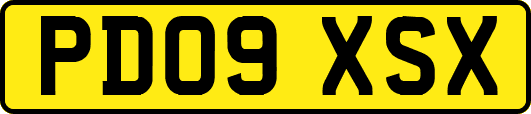 PD09XSX