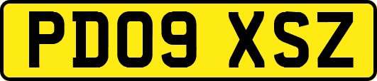 PD09XSZ