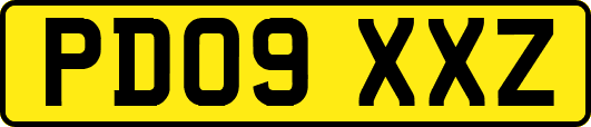 PD09XXZ