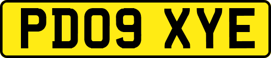 PD09XYE