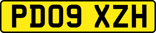 PD09XZH