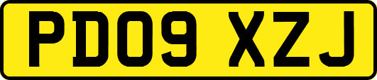 PD09XZJ