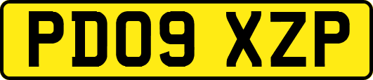 PD09XZP