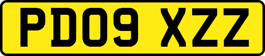 PD09XZZ