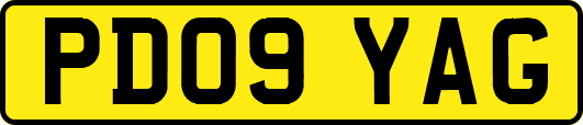 PD09YAG