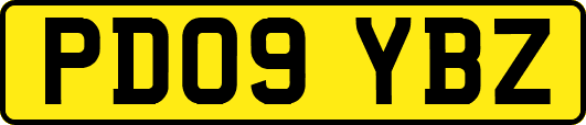 PD09YBZ