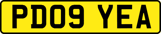PD09YEA