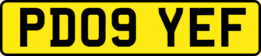 PD09YEF