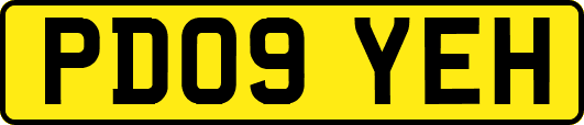 PD09YEH