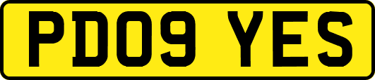 PD09YES