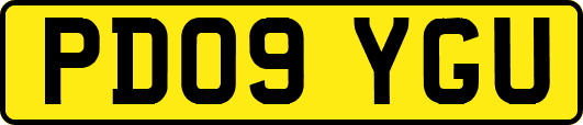 PD09YGU