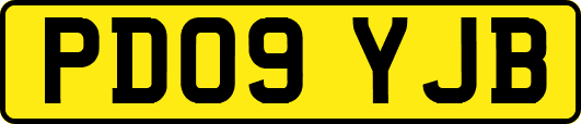 PD09YJB