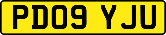 PD09YJU