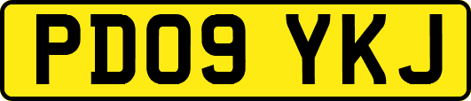 PD09YKJ