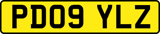 PD09YLZ