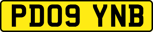 PD09YNB