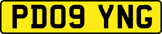 PD09YNG