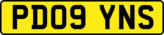 PD09YNS