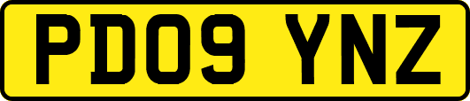 PD09YNZ