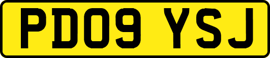 PD09YSJ