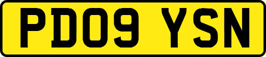 PD09YSN