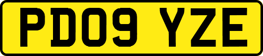 PD09YZE