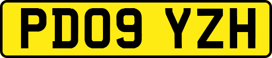PD09YZH