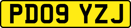 PD09YZJ