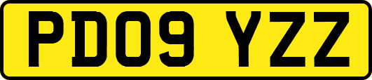 PD09YZZ