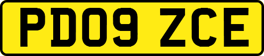 PD09ZCE