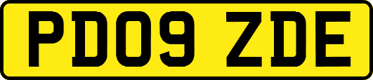PD09ZDE