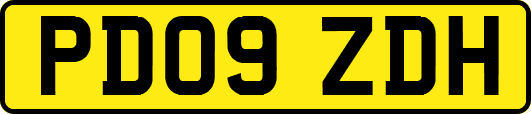 PD09ZDH