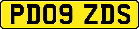 PD09ZDS