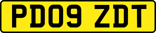 PD09ZDT