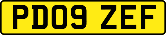 PD09ZEF