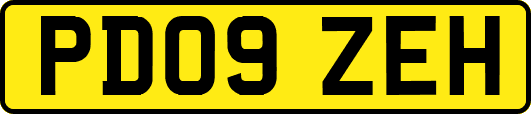 PD09ZEH
