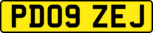 PD09ZEJ