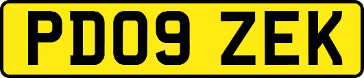 PD09ZEK