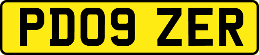 PD09ZER