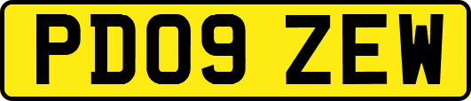 PD09ZEW
