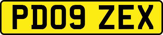 PD09ZEX