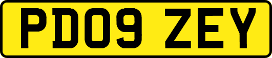 PD09ZEY
